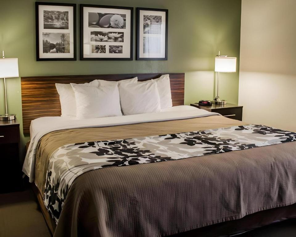 Sleep Inn Geistown Luaran gambar